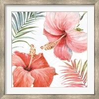 Tropical Blush III Fine Art Print