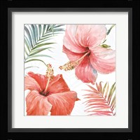 Tropical Blush III Fine Art Print