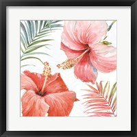 Tropical Blush III Fine Art Print