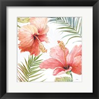 Tropical Blush II Fine Art Print