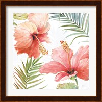 Tropical Blush II Fine Art Print