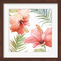 Tropical Blush II Fine Art Print