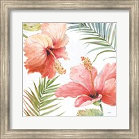 Tropical Blush II Fine Art Print