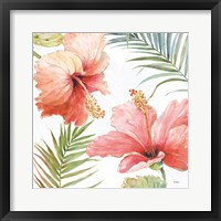 Tropical Blush II Framed Print