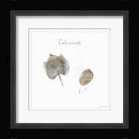 A Woodland Walk XXI Framed Print