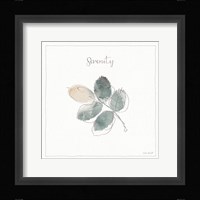 A Woodland Walk XVIII Framed Print