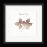 A Woodland Walk XIX Framed Print