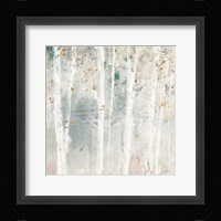 A Woodland Walk III Fine Art Print