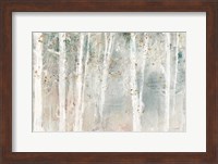 A Woodland Walk I Fine Art Print