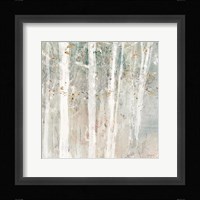 A Woodland Walk II Fine Art Print