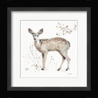 A Woodland Walk IX Framed Print