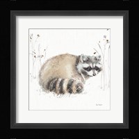 A Woodland Walk X Framed Print