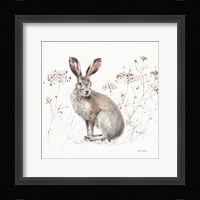 A Woodland Walk XIII Framed Print