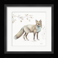 A Woodland Walk XI Framed Print