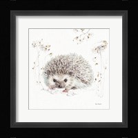 A Woodland Walk XII Framed Print