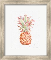 Gracefully Blush Pineapple XI Fine Art Print