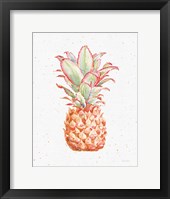 Gracefully Blush Pineapple XI Fine Art Print