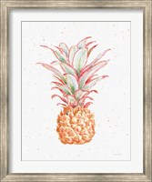 Gracefully Blush Pineapple XII Fine Art Print