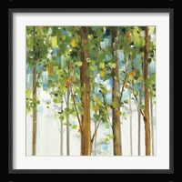 Forest Study IX Fine Art Print