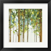 Forest Study VIII Fine Art Print