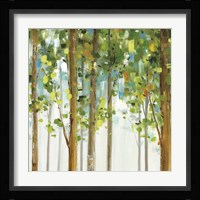 Forest Study VIII Framed Print