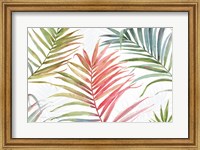 Tropical Blush IV Fine Art Print