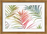 Tropical Blush IV Fine Art Print