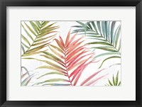 Tropical Blush IV Framed Print