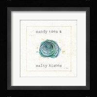 Sea Treasures II Framed Print