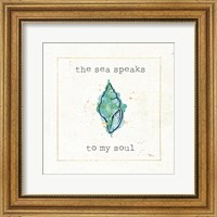 Sea Treasures VI Fine Art Print