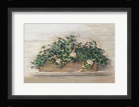 Market Geraniums Crop Fine Art Print