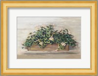 Market Geraniums Crop Fine Art Print