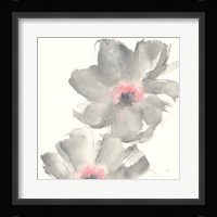 Gray Blush Cosmos II Framed Print