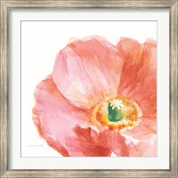 Garden Poppy Flipped on White Crop Fine Art Print
