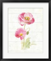 June Blooms IV Fine Art Print