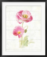 June Blooms IV Fine Art Print