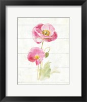 June Blooms IV Framed Print