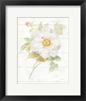 June Blooms III Framed Print