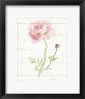 June Blooms I Framed Print