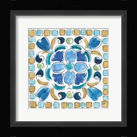 Peacock Allegory VII Framed Print