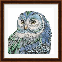Beautiful Owls I Peacock Crop Fine Art Print