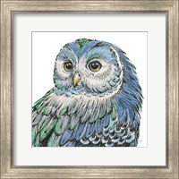 Beautiful Owls I Peacock Crop Fine Art Print