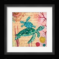 Tropical Underwater IV Framed Print