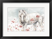 Wild Horses II Framed Print