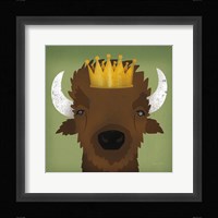 Buffalo III with Crown Framed Print
