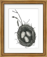Springtime Nest III Fine Art Print