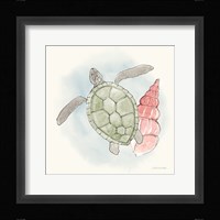 Sea Life IV Framed Print