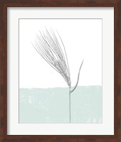 Barley Fine Art Print