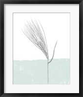 Barley Framed Print