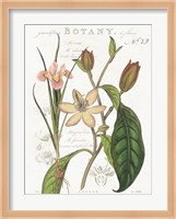Vintage Floral III Neutral Fine Art Print
